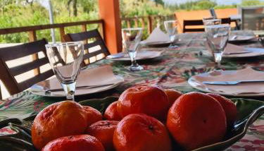 Country House in Coruche - Foto 2