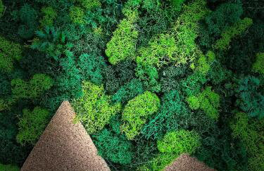 Moje Pieniny Apartament - Photo 26