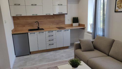 Konopnickiej 9 Studio z antresolą PTAK, Orientarium, Atlas ARENA, Szpital, Mandoria, Fala, Centrum Zdrowia Matki Polki, Rodzina, Family, bezpłatny parking - Foto 2