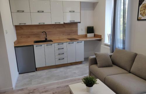 Konopnickiej 9 Studio z antresolą PTAK, Orientarium, Atlas ARENA, Szpital, Mandoria, Fala, Centrum Zdrowia Matki Polki, Rodzina, Family, bezpłatny parking - Foto 2