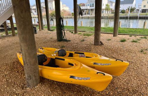 Octopus's Garden - Foto 7