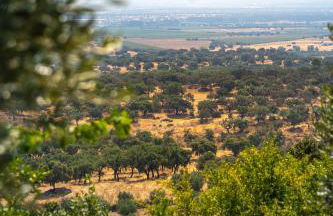 Casa do Outeiro - Foto 16