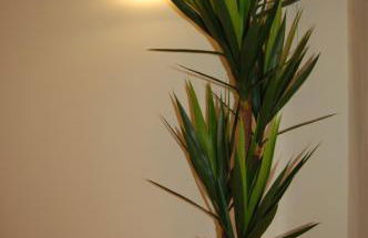 Villa Golf 6 - Foto 7