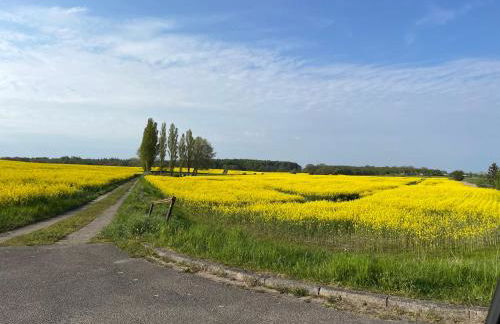 Ostseenest - Sonnige Ferienwohnung mit Ostseeblick - Foto 28