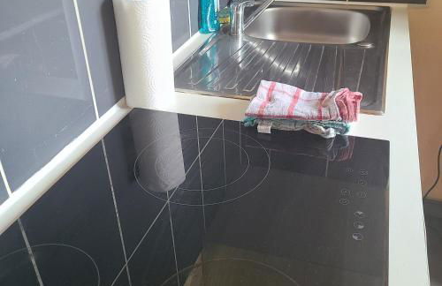 BREST - pres jardin des explorateurs - Foto 1