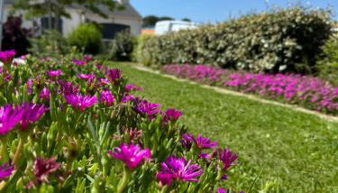 Résidence du Moulin Girard - Foto 5