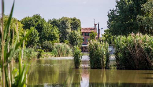 Agriturismo Ca' Alleata - Foto 4