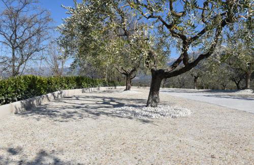 Santa Giusta - Foto 3