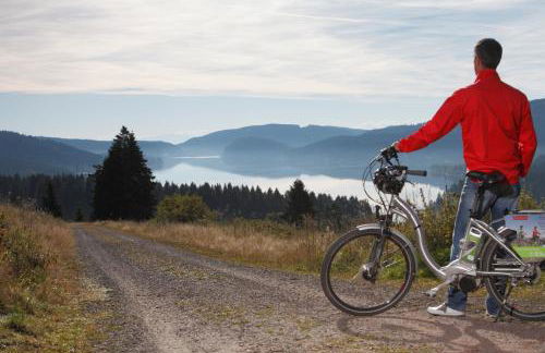 Fewo Schwarzwaldstern 1, Todtnau, 3 Schlafzimmer - Foto 18