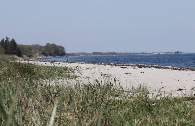 "Bridgette" - 100m from the sea - Foto 4