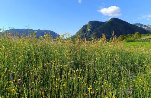 Famiglia Brochetti - Foto 14