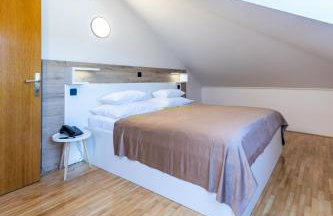 Vila Curic - Photo 156