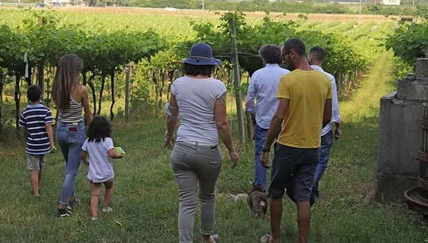Biodynamic Farm Tour + Wine Tasting - Foto 4