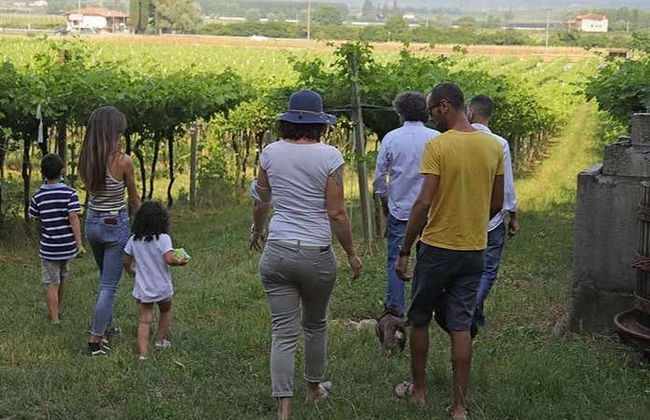 Visita di una fattoria biodinamica + Degustazione di vino - Foto 4