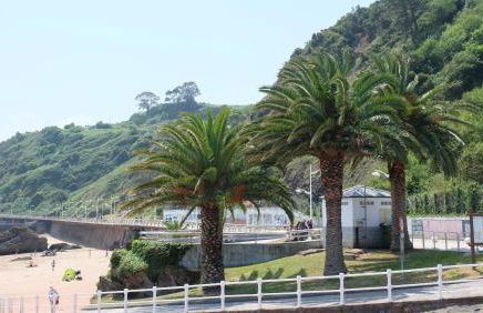 Playa de la palmera - Foto 30