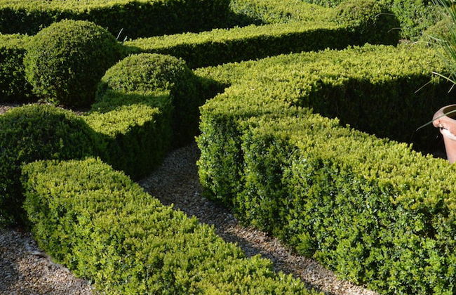 Maison D'hôtes "les Tillets" - Foto 50