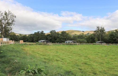 The Kingfisher - Foto 24