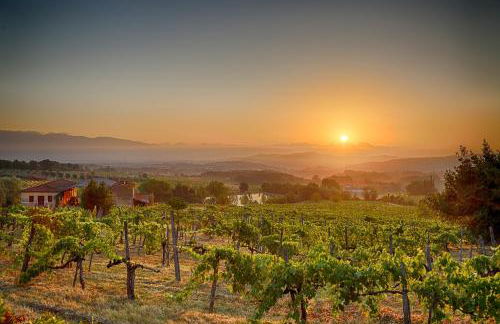 Tenuta Lupinari - Foto 45