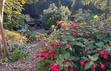 Craig Cottage 3BR Tayport Near St Andrews - Foto 28