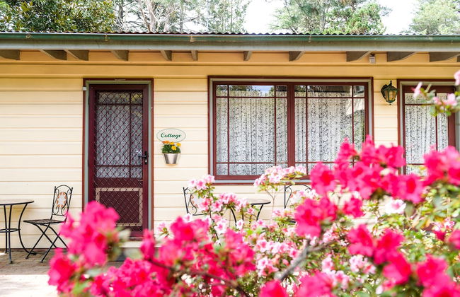 Federation Gardens & Possums Hideaway - Foto 61