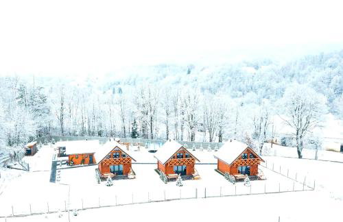 Słoneczne Domki Sudety - Domki Całoroczne Kotlina Kłodzka - Foto 79