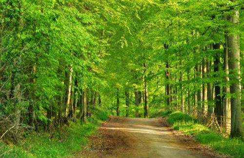 Guest House near Coast - Foto 33