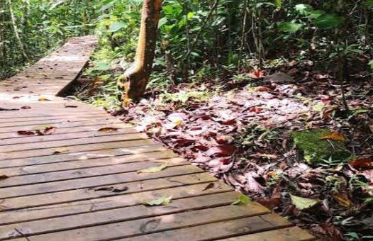 La Virginia & El Guásimo Excursion - Photo 6