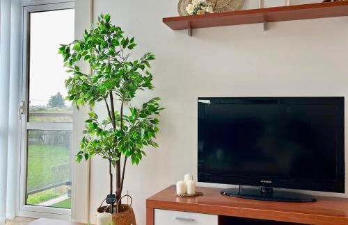 Almar II - Padrón - Foto 22