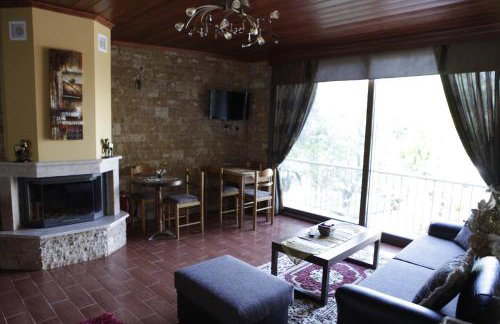 Xenonas Platia - Photo 7