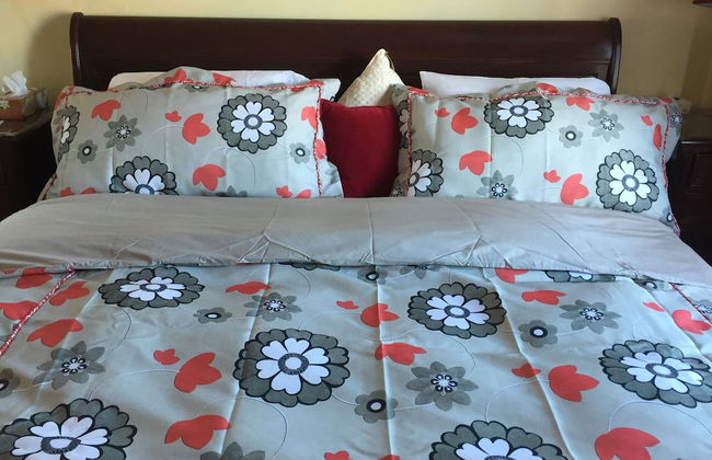 Cozy water front Montreal - Foto 11