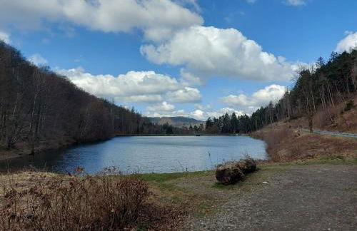 Holiday apartment in Langelsheim with Wi-Fi - Foto 13