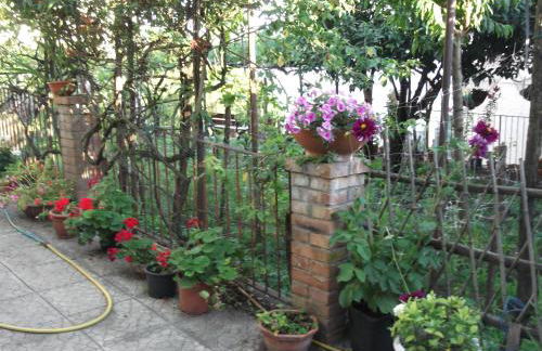 Le Mimose - Photo 28