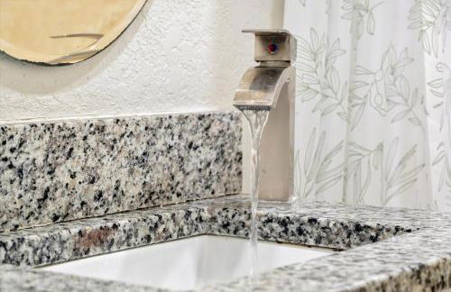 Half Mile from ZooTampa - Fun - Foto 10