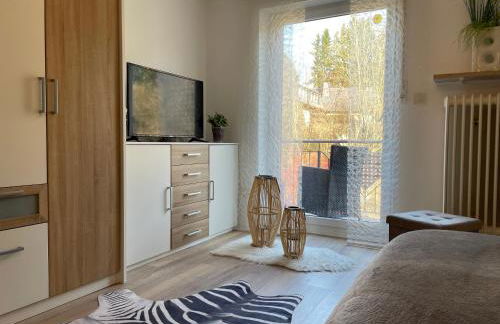 Tolle Ferienwohnung mit Loggia in Schauenstein 100qm bei Hof an der Saale Frankenwald - Foto 41