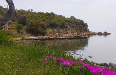 Wonderful stone house infront of the sea. - Photo 21