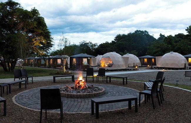 Hamiru's Forest - Foto 15