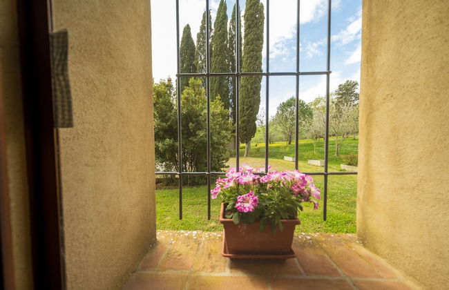 Agriturismo Due Ponti - Foto 50