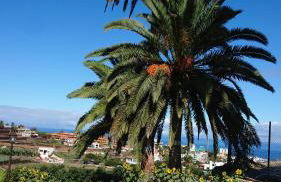 Finca Las Tapias, Casa Mañé - Foto 23