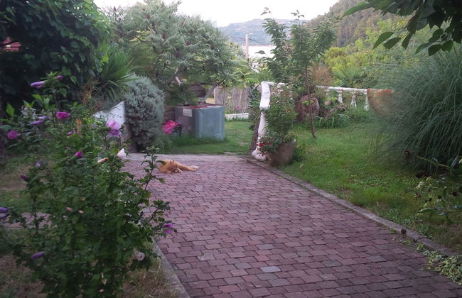 Soncne Terase - Foto 65