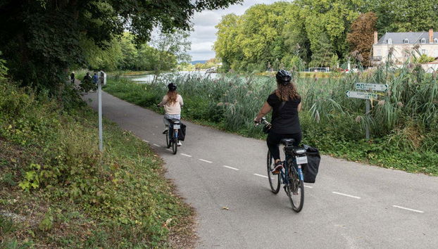 Balade à vélo à travers les vignes
