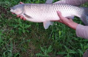 Miła Dolina - Foto 40