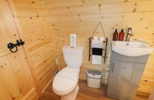 Moel Arthur - Photo 8