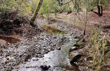 The Calistoga Cottage Wooded And Sunny 5 Mins To Downtown - Foto 49