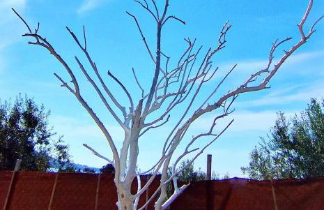 Cozy House with Amazing View and Unique Outdoor! - Foto 17