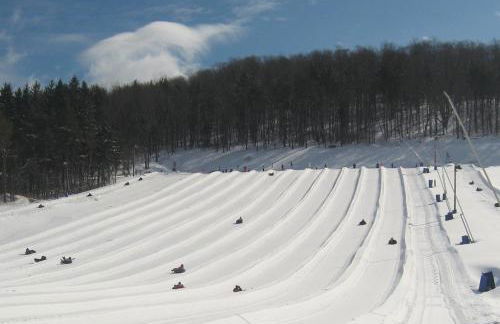 The Maples Apt - King Bed, Pet Friendly, Beautiful Views - Foto 34