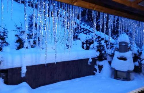 Haus Schönek - Foto 22