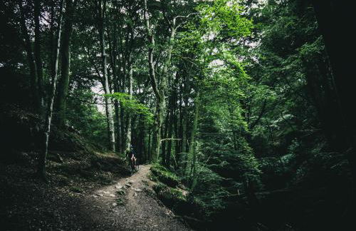 3-bedroom house for outdoor holidays - Foto 36