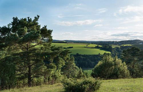 Zum Pinken Schaf - Photo 29