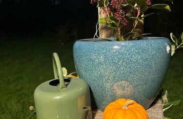 Un Chalet au Verger dog friendly - Foto 13