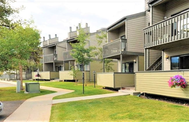 Pines at Meadow Ridge - Photo 23